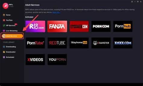 porn hub to mp4|Best Pornhub Downloader 2024